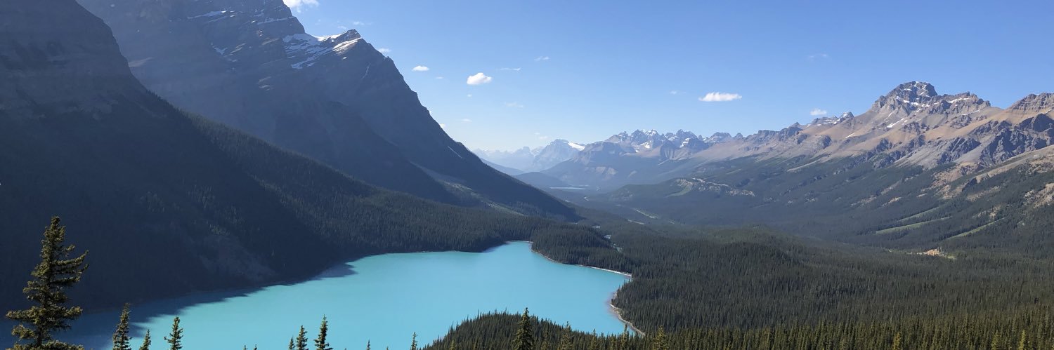 Chris Driedger banner