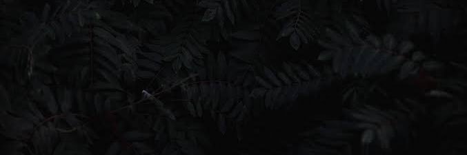 dvrio__'s profile banner image