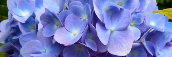 ayusitiazz's profile banner image