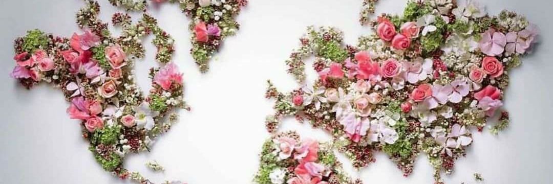 Alex_Galeno's profile banner image