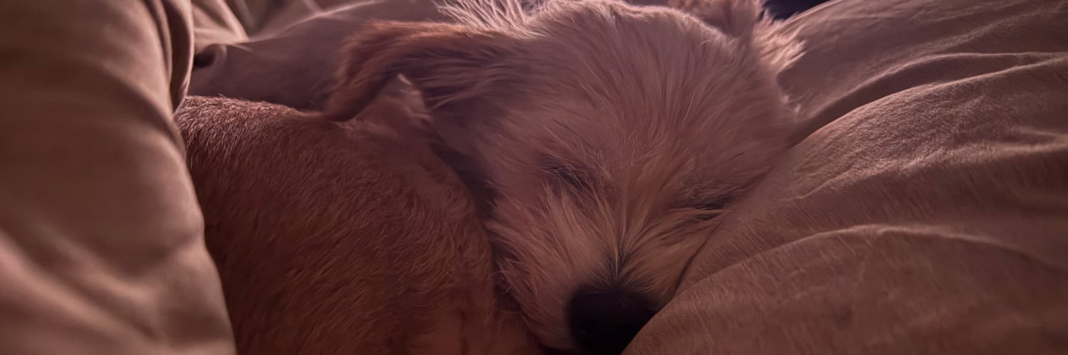 PinkkkSparkles_'s profile banner image