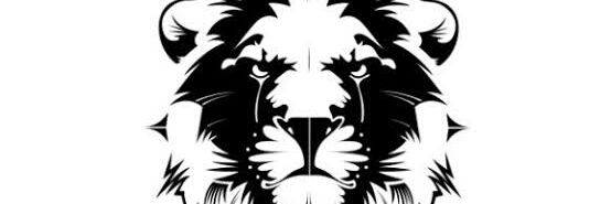 raspapa's profile banner image