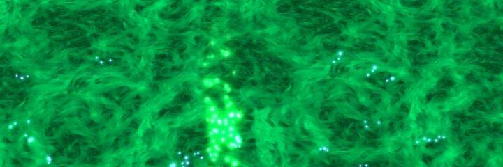 JoinEnlightened's profile banner image