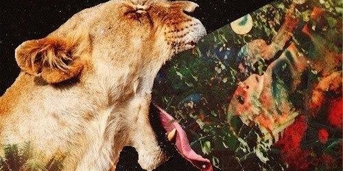 deric40's profile banner image