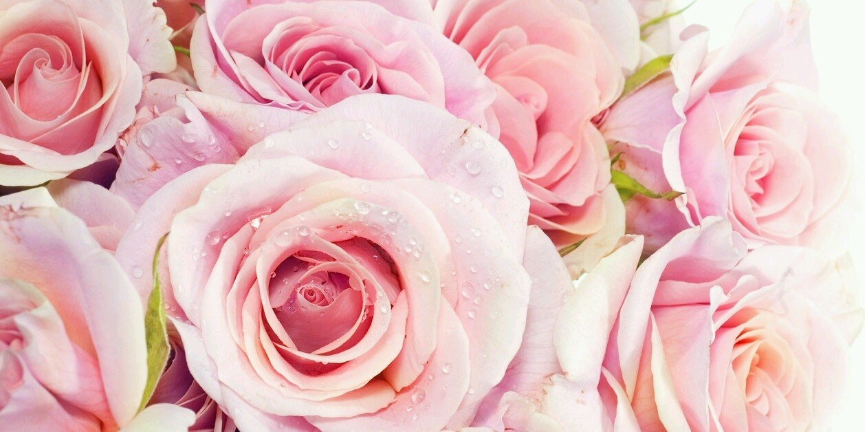debinadia's profile banner image