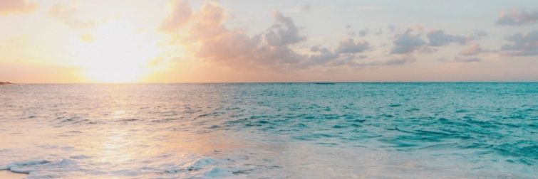 蘭丸子 banner