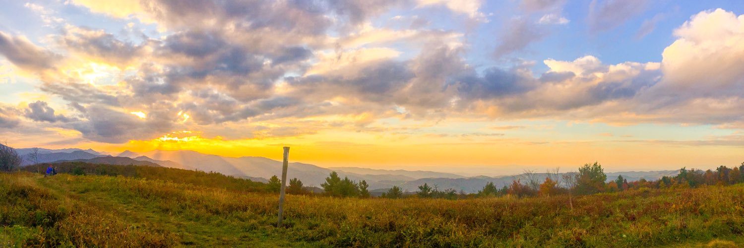 Morgan Taylor banner