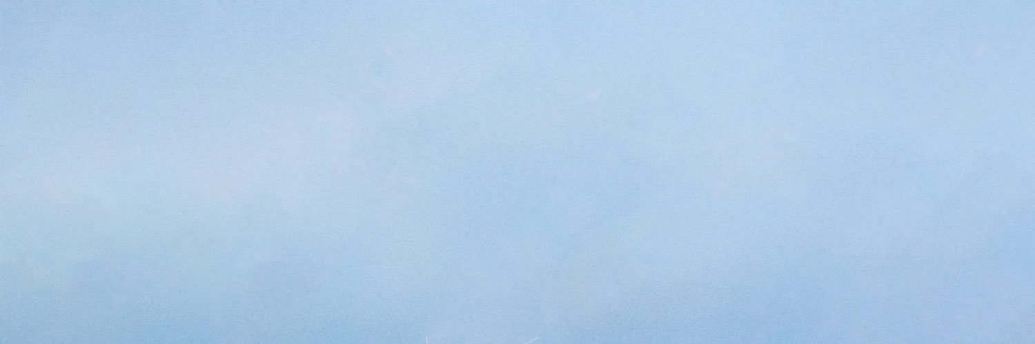 Dávila banner