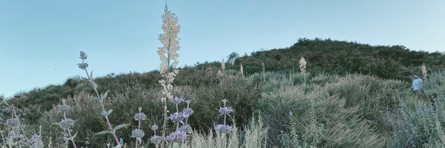 KenniDowSmith's profile banner image