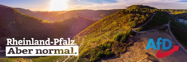 RLP_AfD Profile Banner