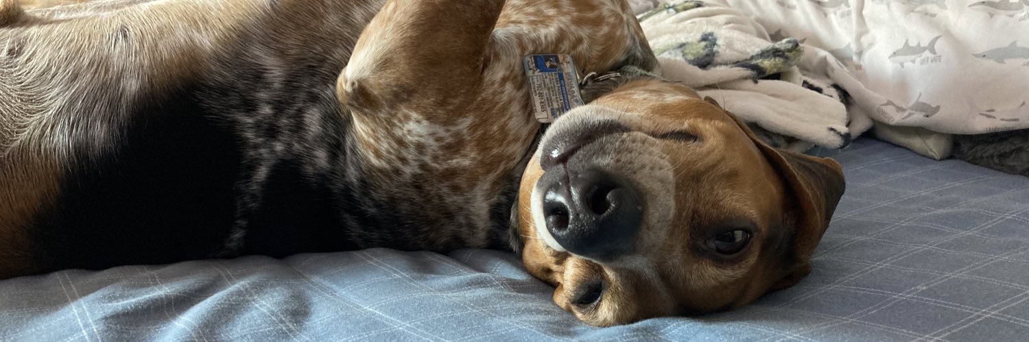 ⓢⓐⓜ🌈🌱✌🏽 banner