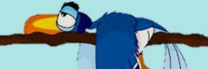 DP banner
