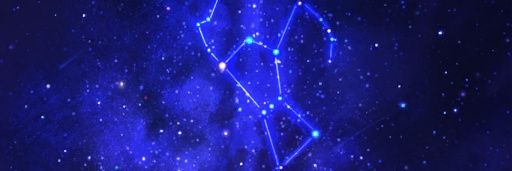 Orion the Christmas Bear banner