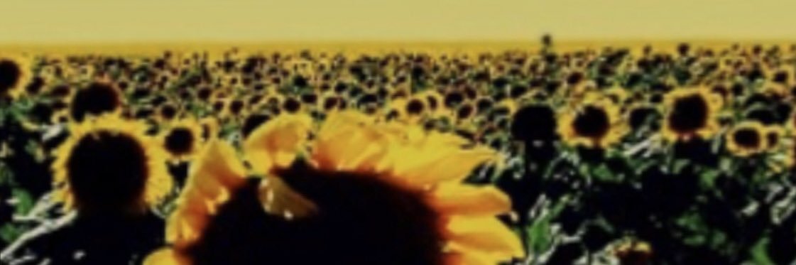 Jenna Pomeroy banner