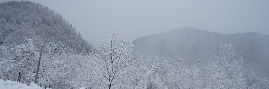 phoebstea's profile banner image
