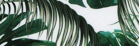 PedersonKait's profile banner image