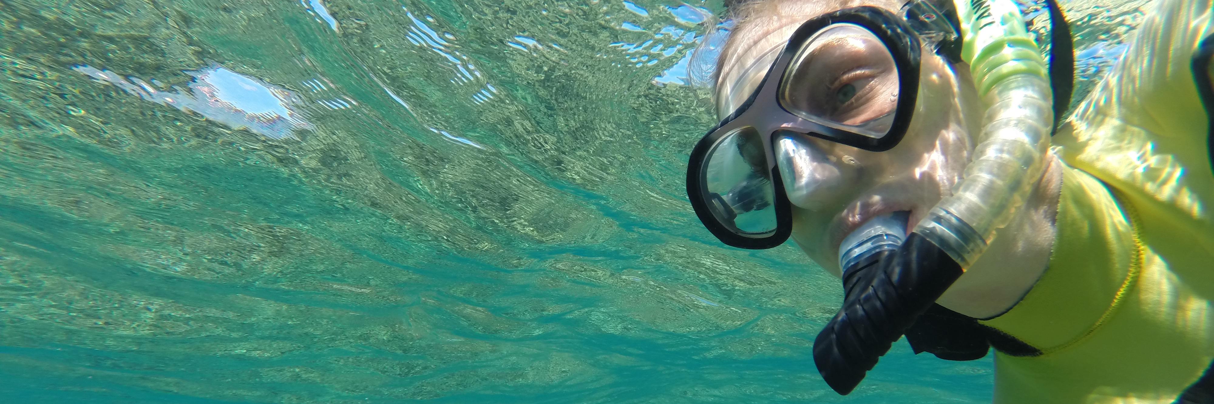 TeleahHealy's profile banner image