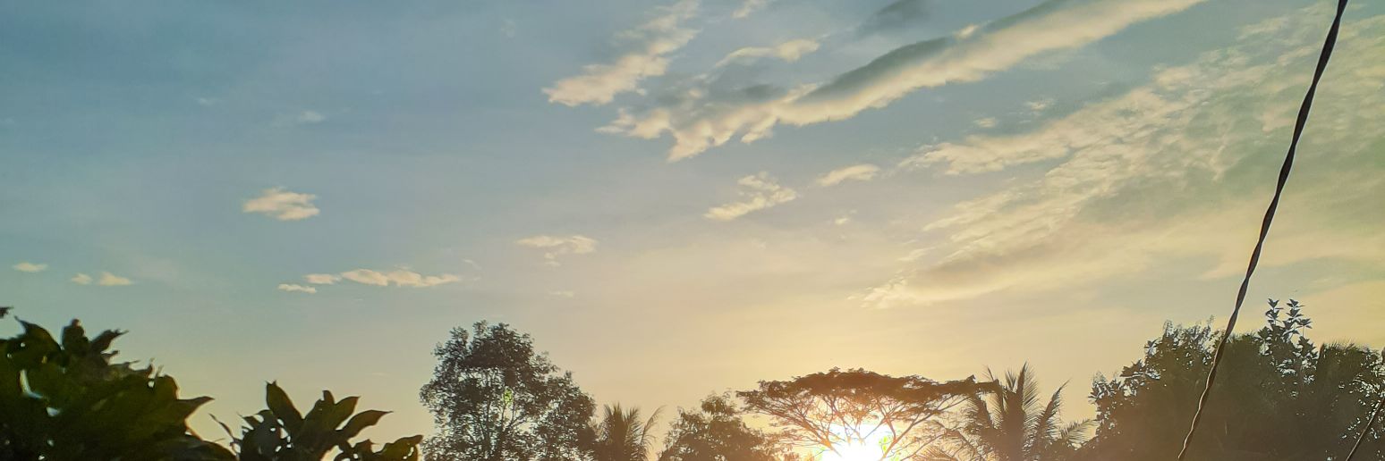 mas-mas biasa banner