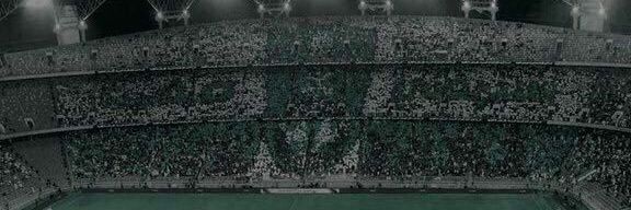 Naad_A12's profile banner image