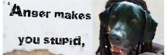 AylaLab's profile banner image