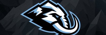 Braden banner