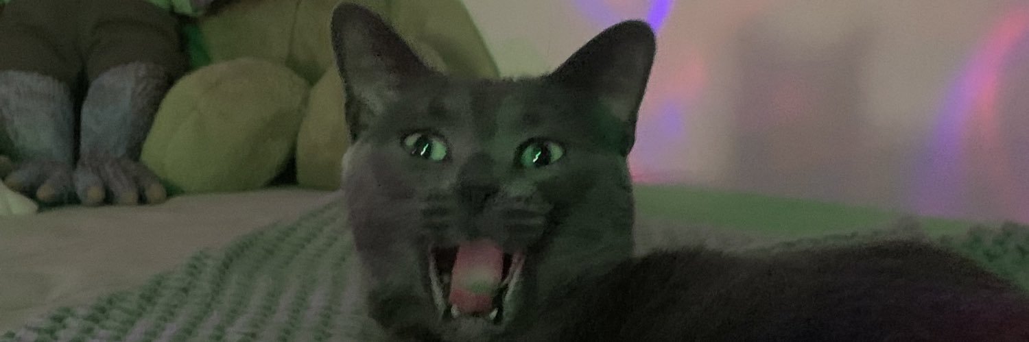 audreyynickel's profile banner image