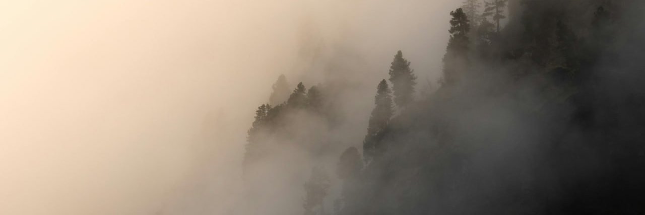 josephpritchett's profile banner image