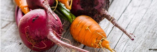 VEG. banner