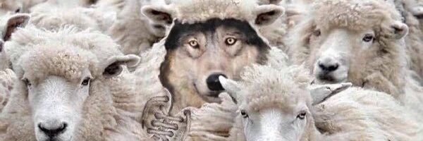 hitzegin's profile banner image