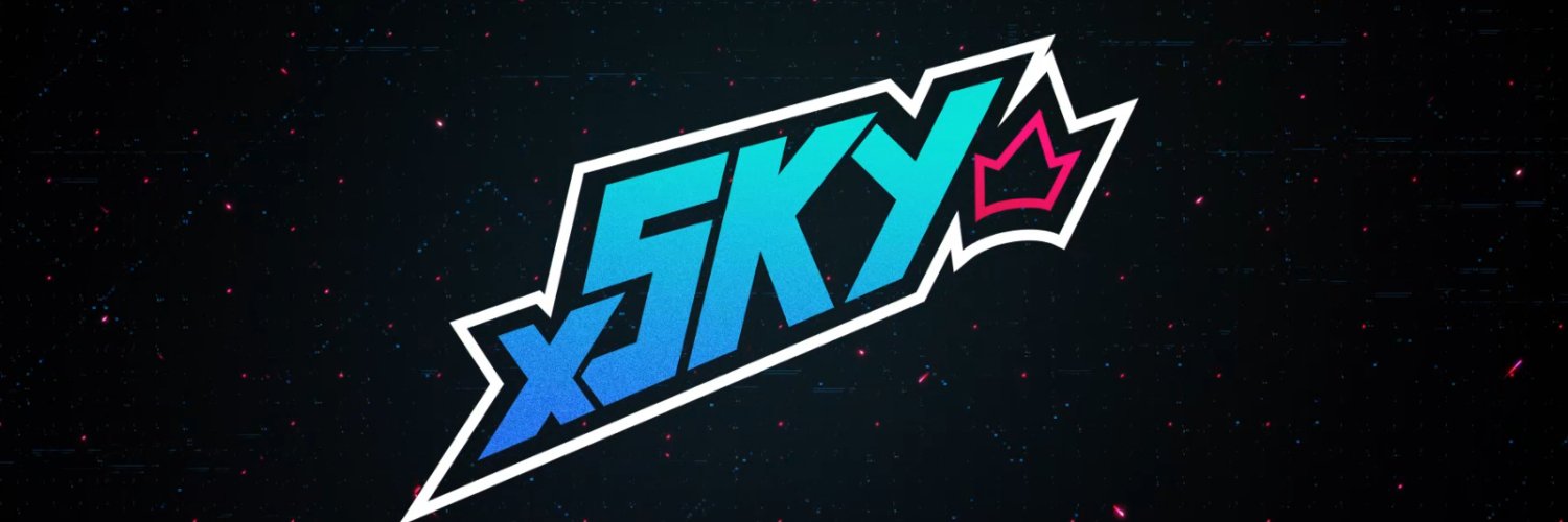xSkyKing banner
