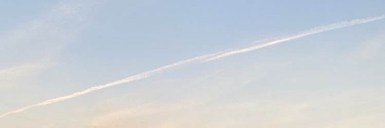 tuinui___'s profile banner image