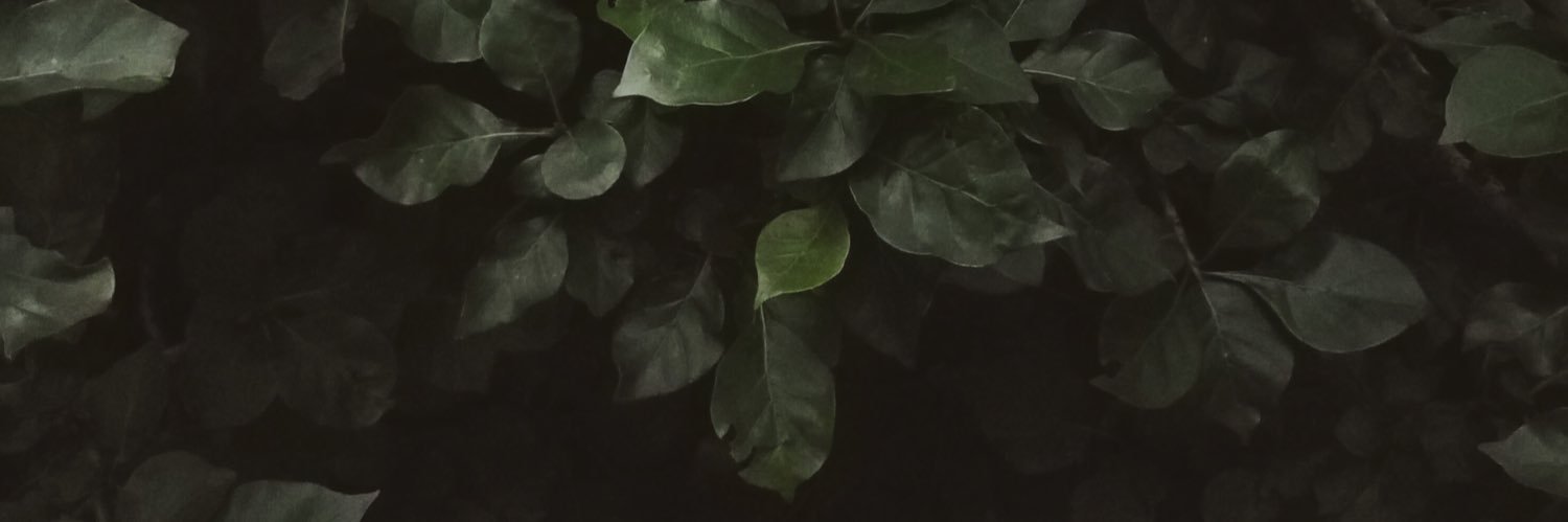 saintdici's profile banner image