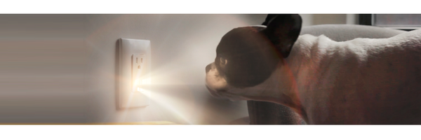 AmitRosner Profile Banner