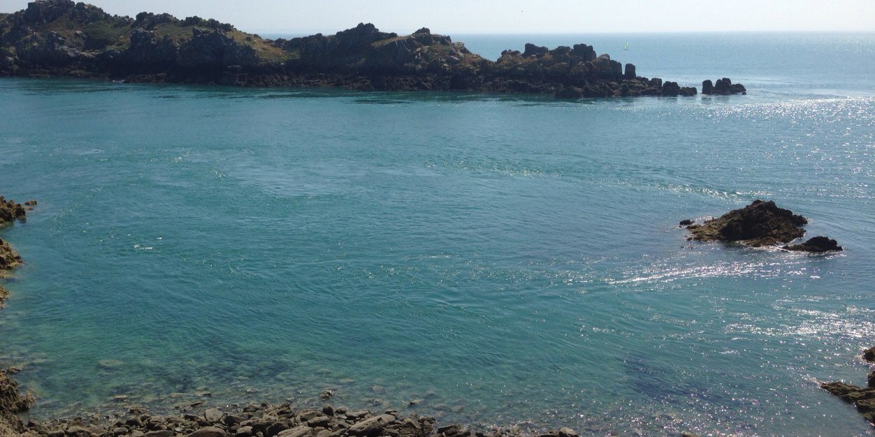 Nikki Douthwaite banner