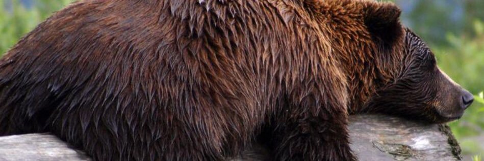 shonspencer71's profile banner image