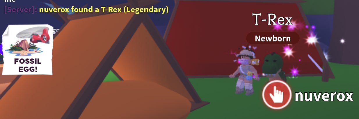 nikzrn's profile banner image