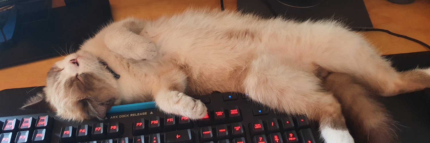 AxlRozz's profile banner image