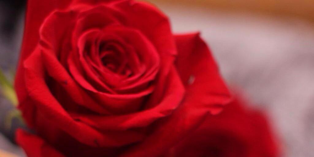1Arji's profile banner image