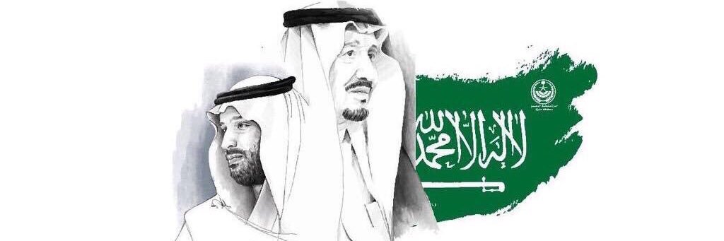 Aldalfan's profile banner image
