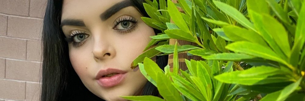 Velceniak's profile banner image