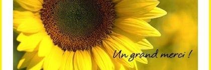 michee124's profile banner image