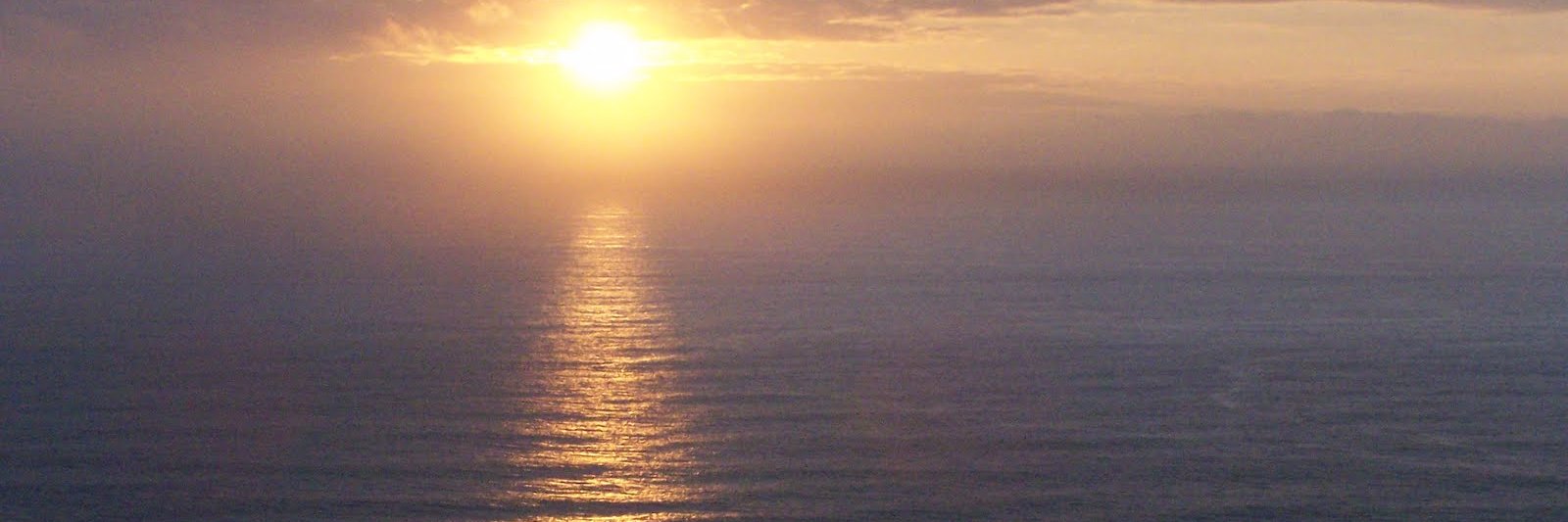 AnonAdmi's profile banner image