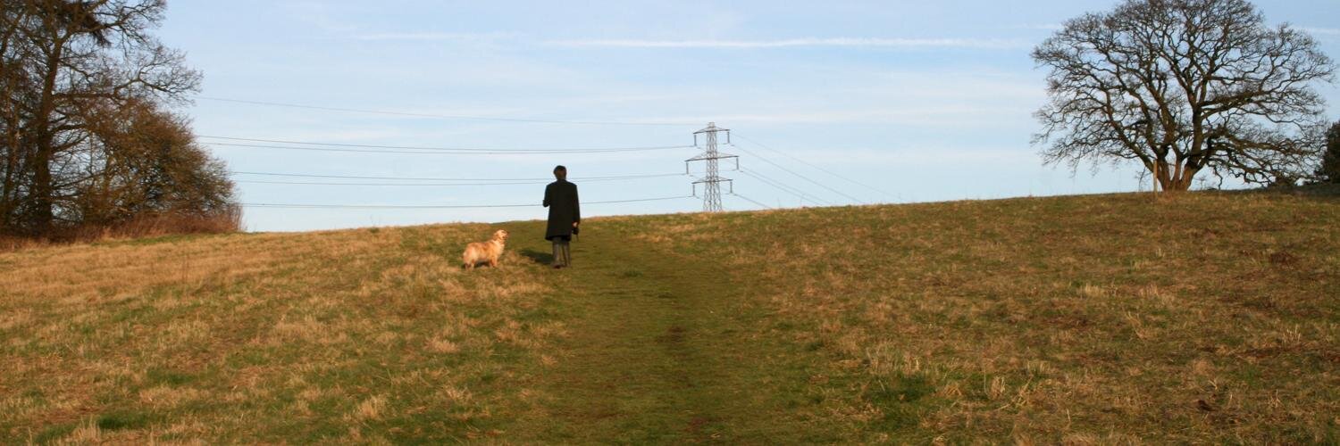 Adam Townsend banner