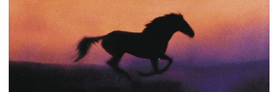 c_senora's profile banner image