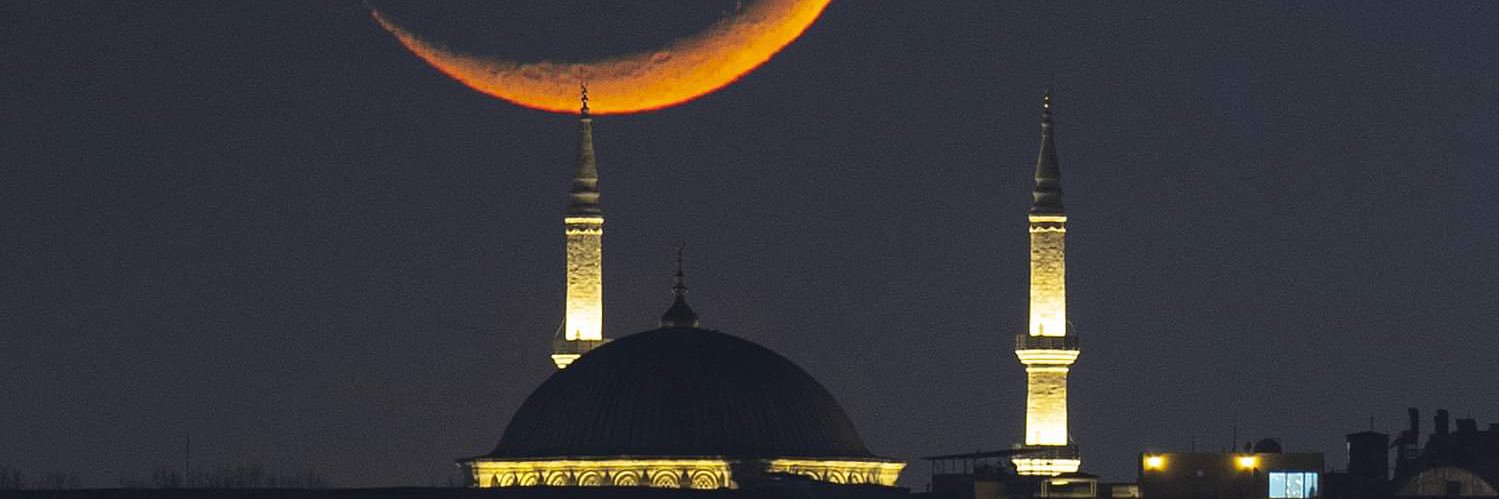 SAIF Al-Hajri 🔻 banner