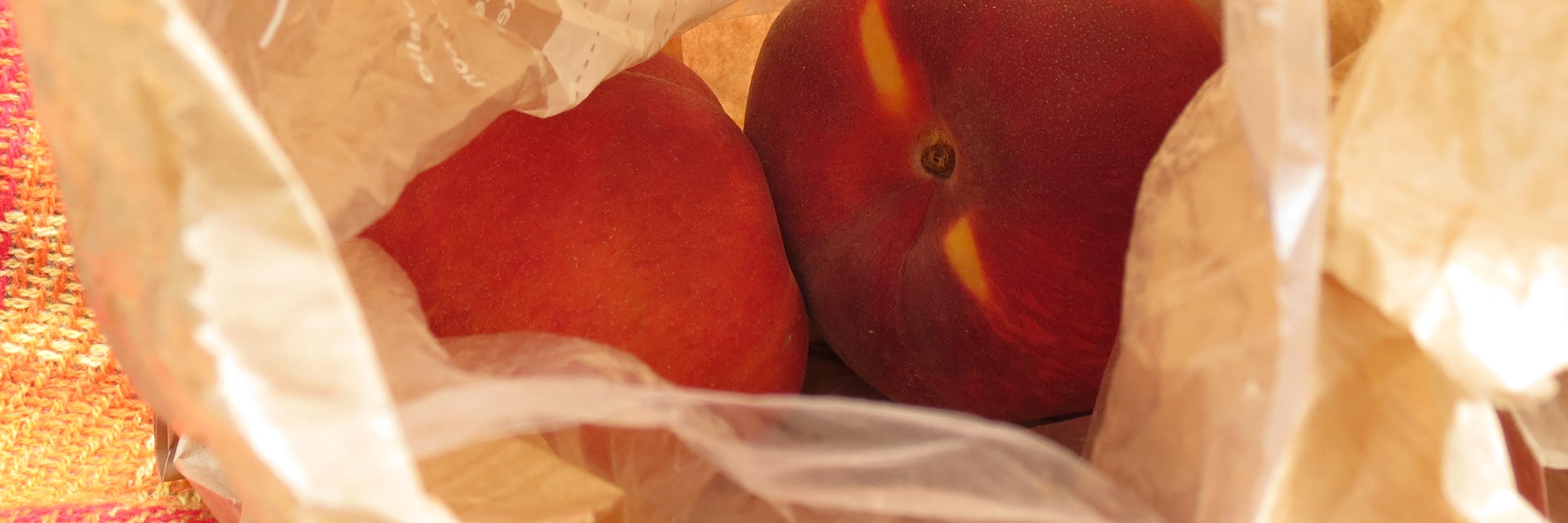 Federico Passarelli banner