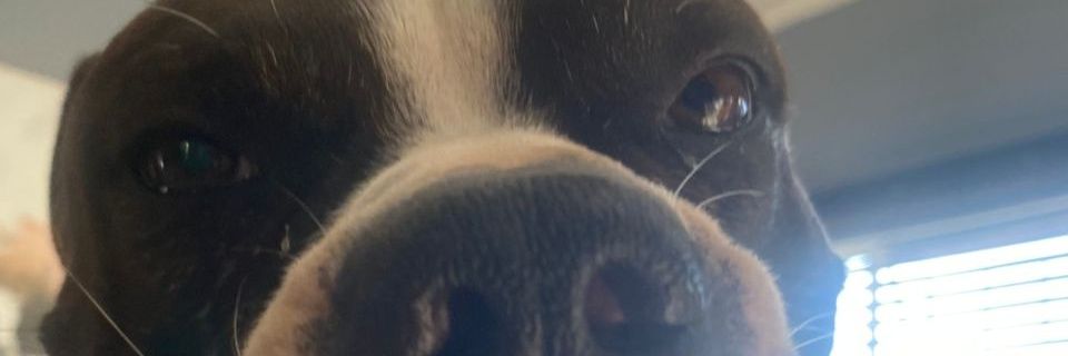 ggreeff77's profile banner image