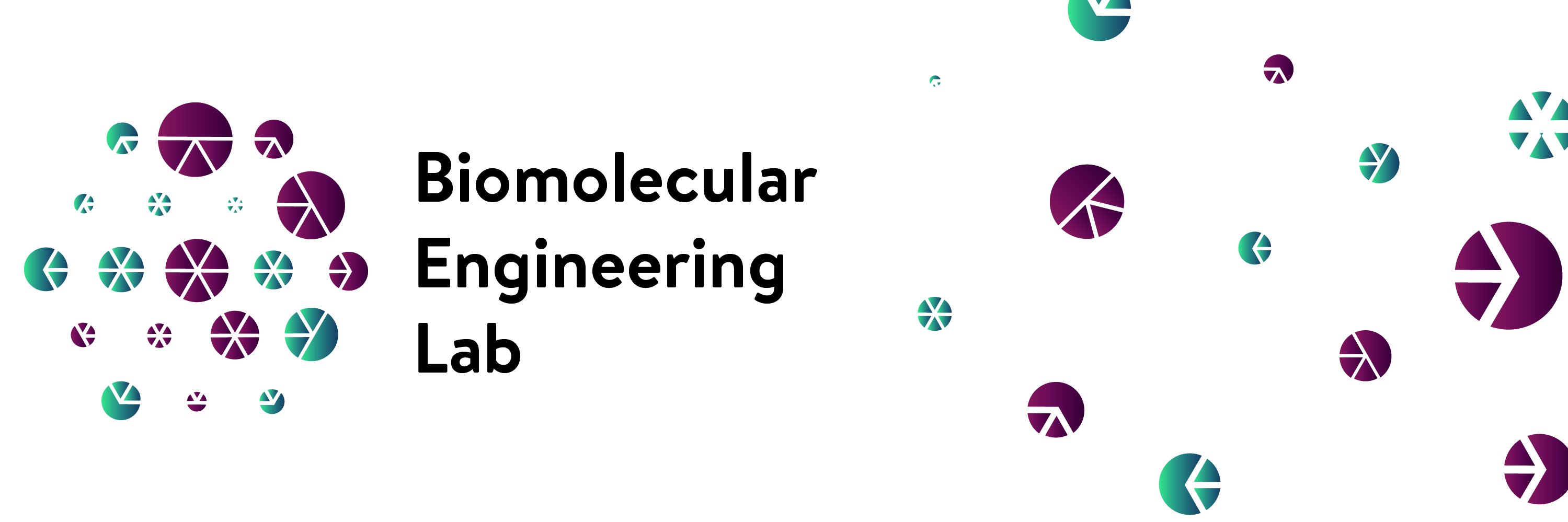 Cecilia Roque Lab banner