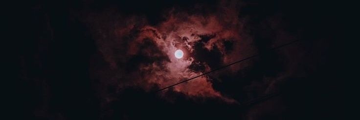 capriboii's profile banner image