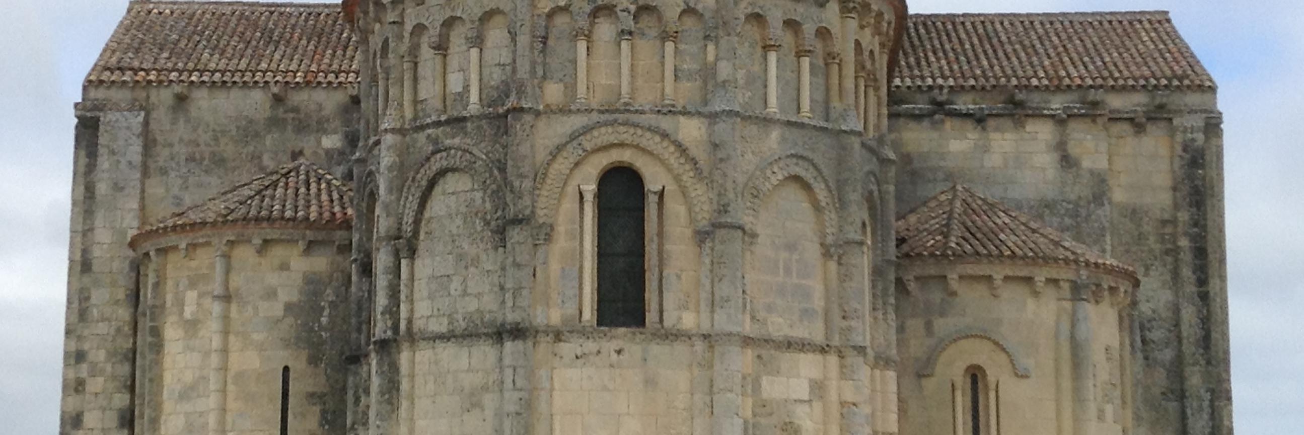 Prof Elizabeth Tingle 🐢 banner